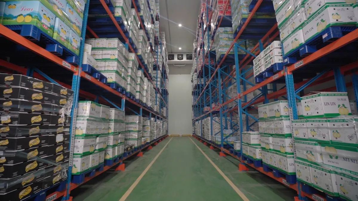 Mengenal Bisnis yang Wajib Menggunakan Cold Storage untuk Menjaga Kualitas Produk file