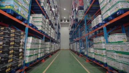 Mengenal Bisnis yang Wajib Menggunakan Cold Storage untuk Menjaga Kualitas Produk