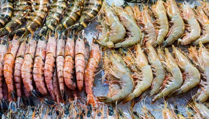 Optimalkan Bisnis Udang dengan Cold Storage: Ini Solusi dan Tantangan Utamanya!